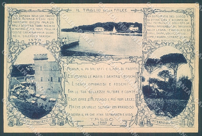 Ferrara Mesola Taglio della Falce Tasso cartolina JK4573 – fronte