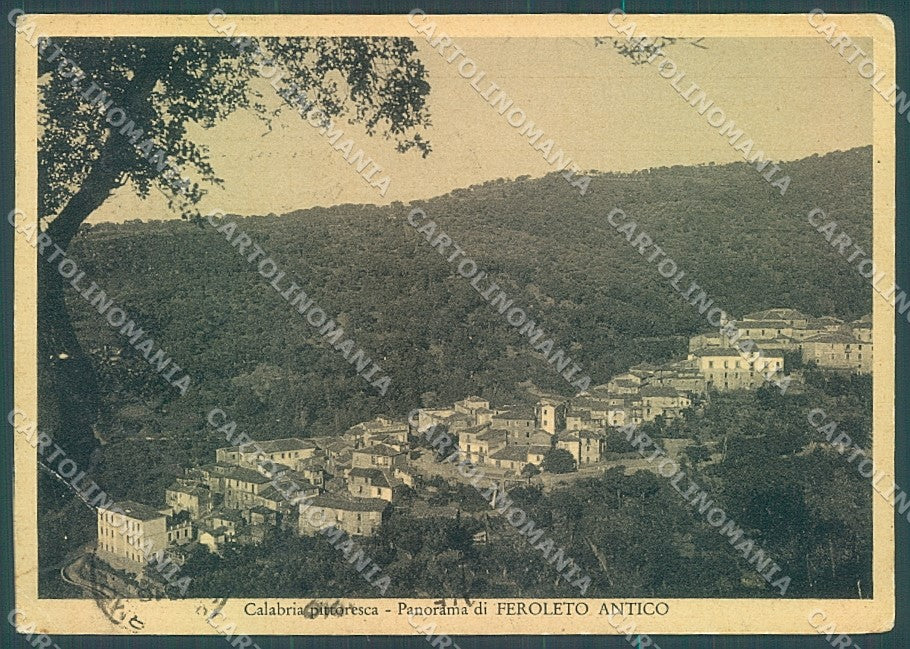 Catanzaro Feroleto Antico FG cartolina JK4698 – fronte