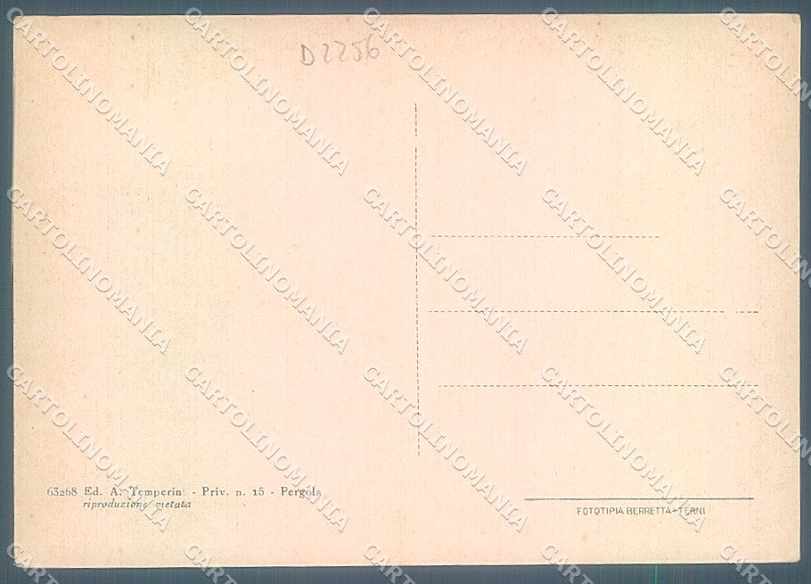 Urbino Pesaro Pergola Cattedrale Via Don Minzoni FG cartolina JK4738 – retro