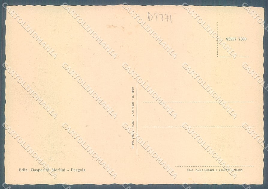Urbino Pesaro Pergola Duomo Via Umberto I FG cartolina JK4744 – retro