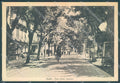 Gorizia Grado Viale Dante Alighieri FG cartolina JK4762 – fronte