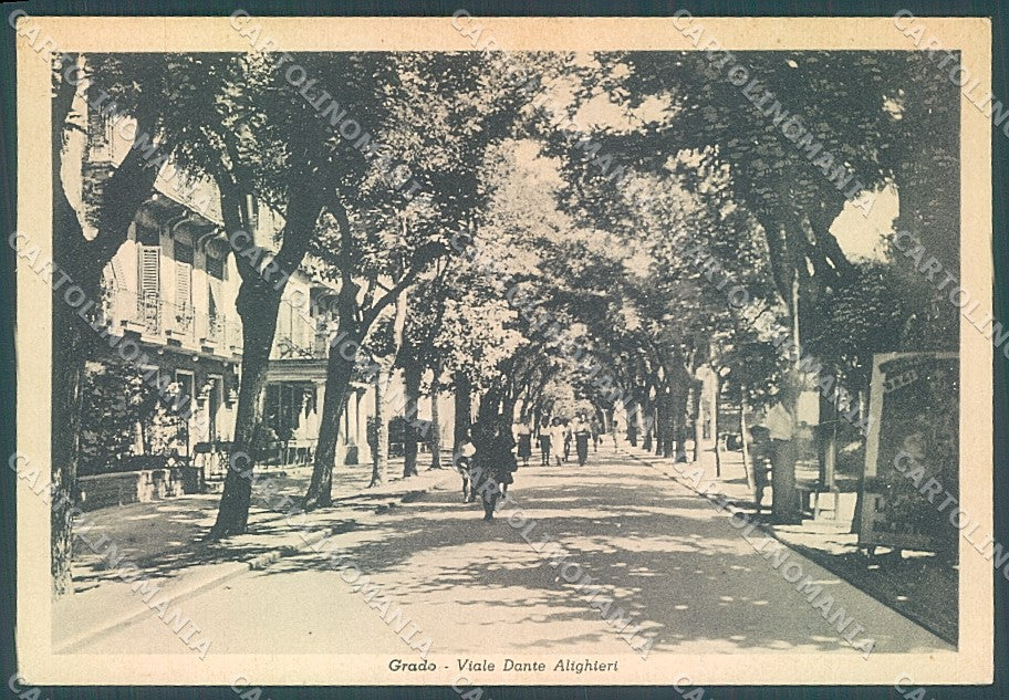 Gorizia Grado Viale Dante Alighieri FG cartolina JK4762 – fronte