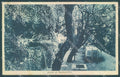 Milano Monza Brianza Carate Realdino Grotta cartolina JK4784 – fronte