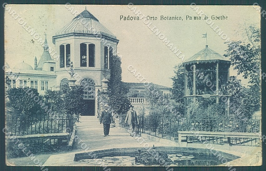 Padova Città Orto Botanico Modiano PIEGA ANGOLO cartolina JK4809 – fronte