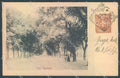 Vercelli Città Viale Garibaldi Modiano 1915 PIEGA ANGOLO cartolina JK5077 – fronte