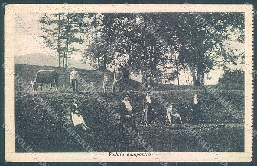 Verbania Quarna Veduta Campestre cartolina JK5131 – fronte