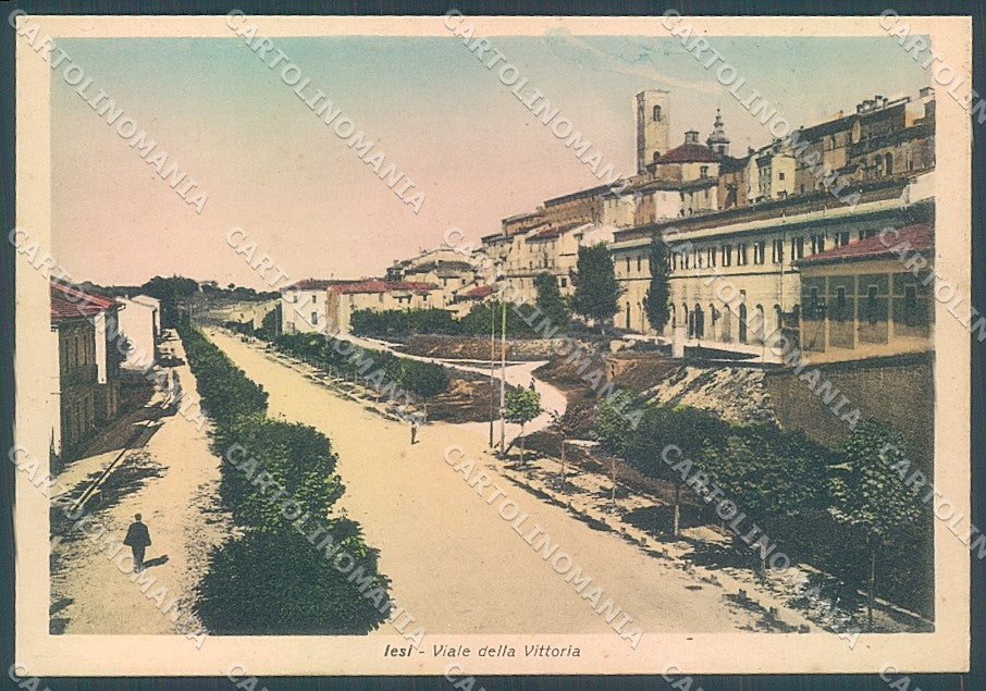 Ancona Jesi Viale della Vittoria FG cartolina JK5179 – fronte