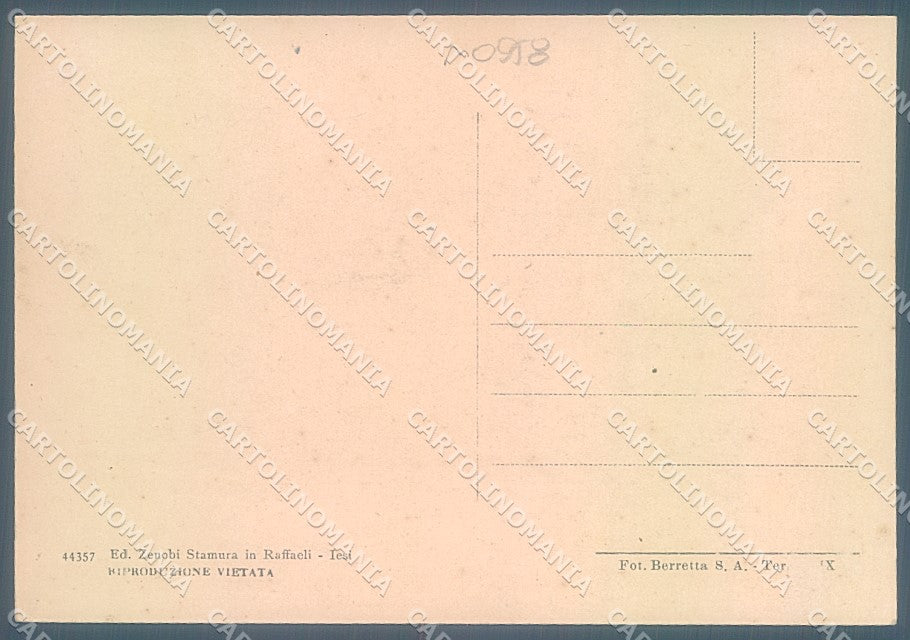 Ancona Jesi Viale della Vittoria FG cartolina JK5179 – retro