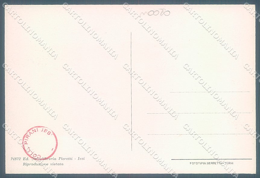 Ancona Jesi Castello saluti da cartolina JK5181 – retro