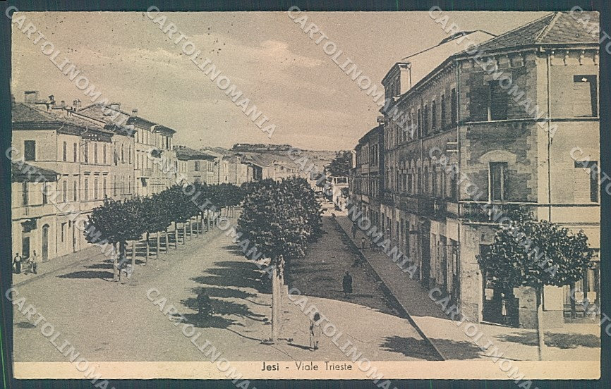 Ancona Jesi Viale Trieste cartolina JK5190 – fronte