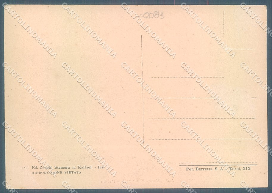 Ancona Jesi Duomo Piazza Federico II FG cartolina JK5211 – retro