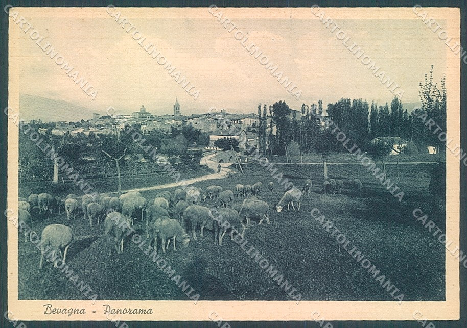 Perugia Bevagna Pecore Pascolo Alterocca 6826-48 cartolina JK5400 – fronte