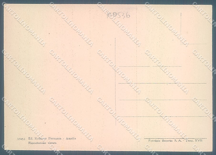 Terni Amelia Monumento ai Caduti FG cartolina JK5412 – retro