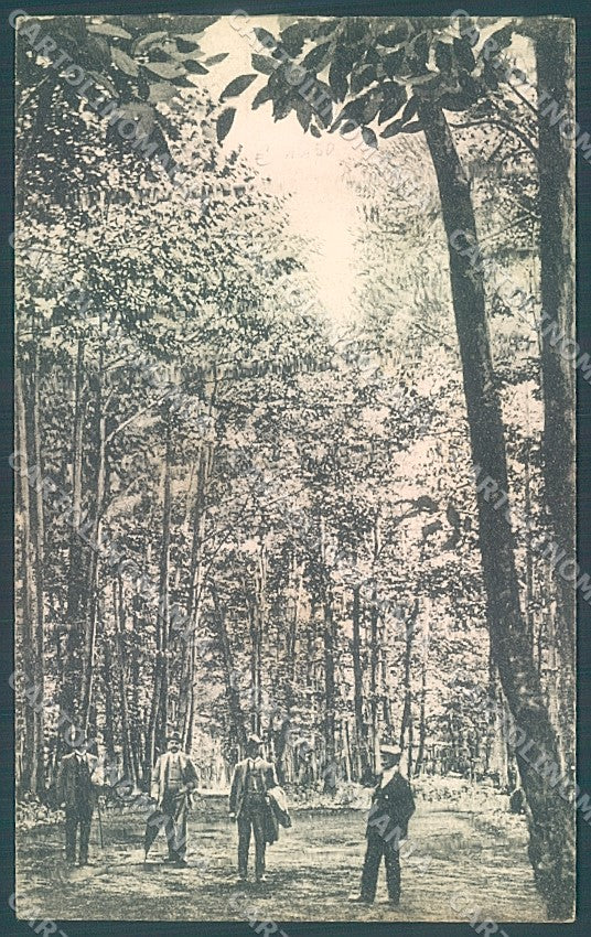 Frosinone Fiuggi Anticoli di Campagna Bosco Castagni cartolina JK5432 – fronte