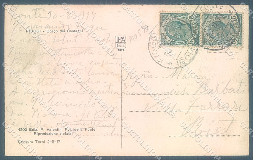 Frosinone Fiuggi Anticoli di Campagna Bosco Castagni cartolina JK5432 – retro