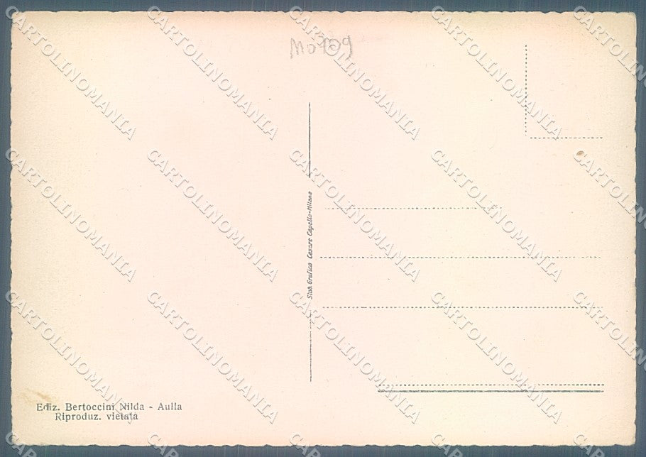 Massa Aulla Ponte Castello della Brunella FG cartolina JK5494 – retro