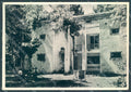 Massa Ronchi Villa Medea Foto FG cartolina JK5512 – fronte