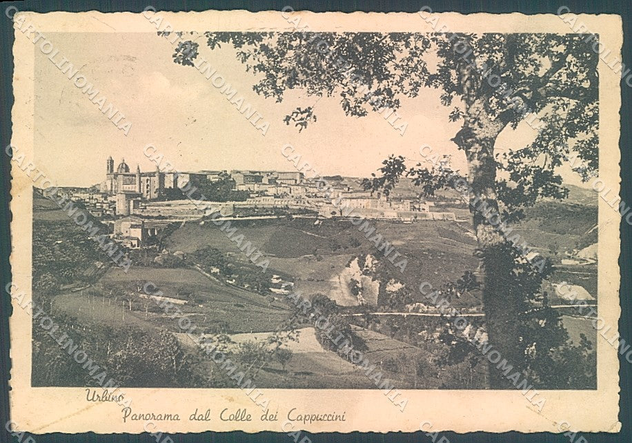 Urbino Città FG cartolina JK5556 – fronte