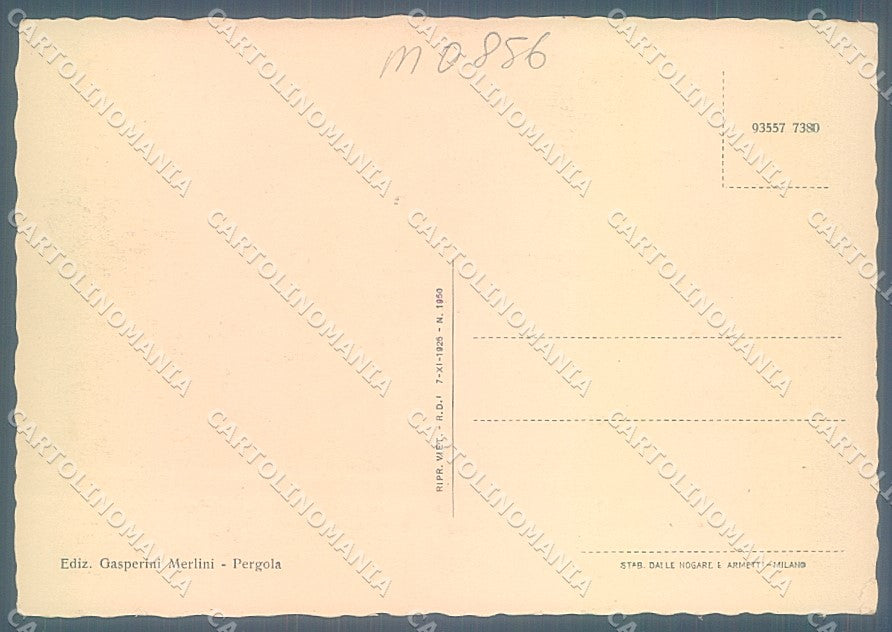 Pesaro Urbino Pergola Duomo Via Umberto I FG cartolina JK5558 – retro