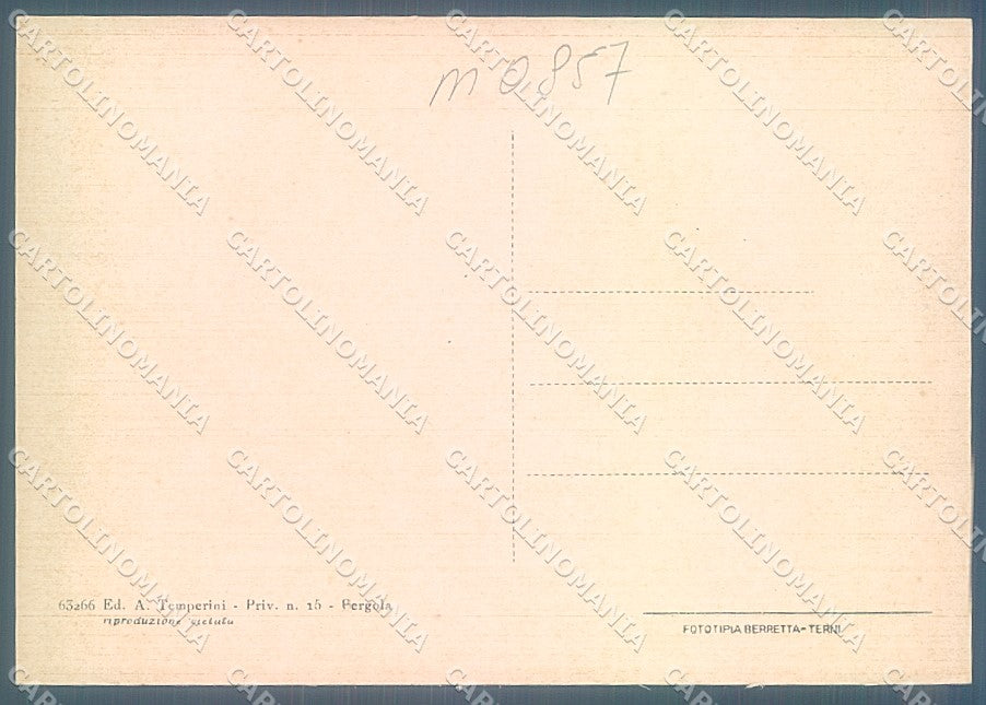 Pesaro Urbino Pergola Belvedere FG cartolina JK5559 – retro