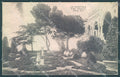 Imperia Mortola Villa Hanbury cartolina JK5577 – fronte