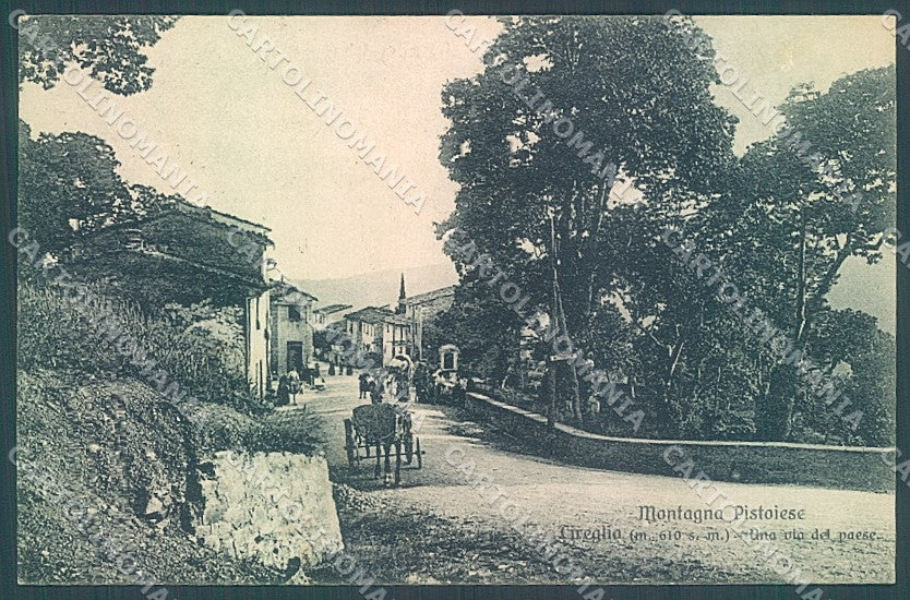 Pistoia Cireglio Via di Montagna cartolina JK5583 – fronte
