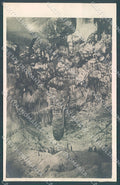 Trieste Postumia Grotte Carso Foto cartolina JK5605 – fronte
