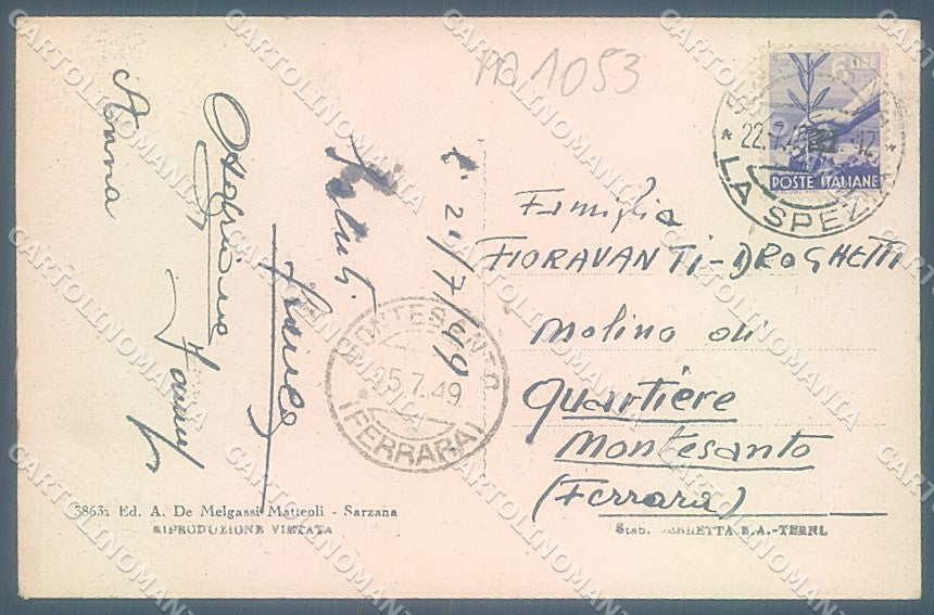 La Spezia Sarzana cartolina JK5641 – retro
