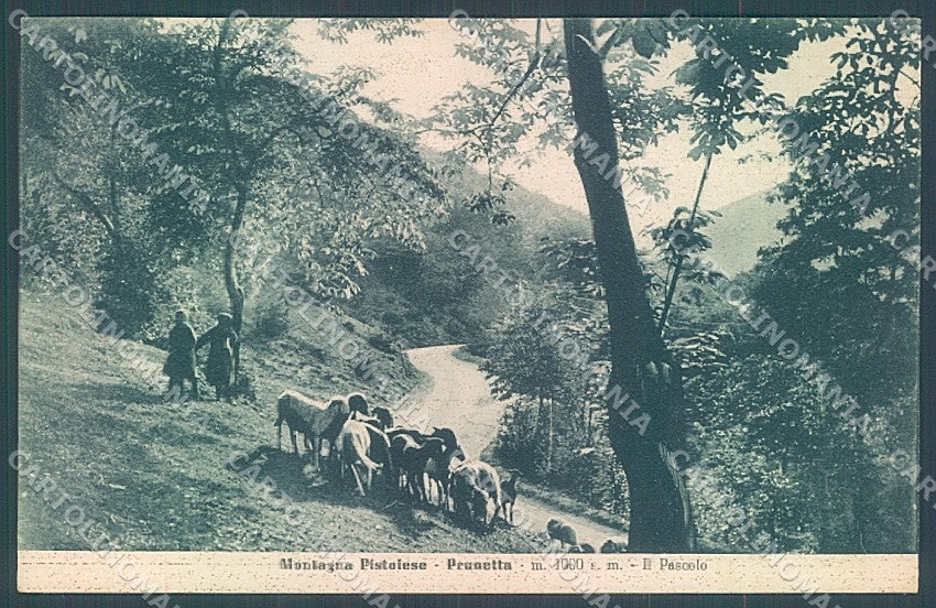 Pistoia Prunetta Pascolo Alterocca 148966 cartolina JK5675 – fronte