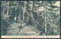Pistoia Abetone Serrabassa Foresta cartolina JK5691 – fronte