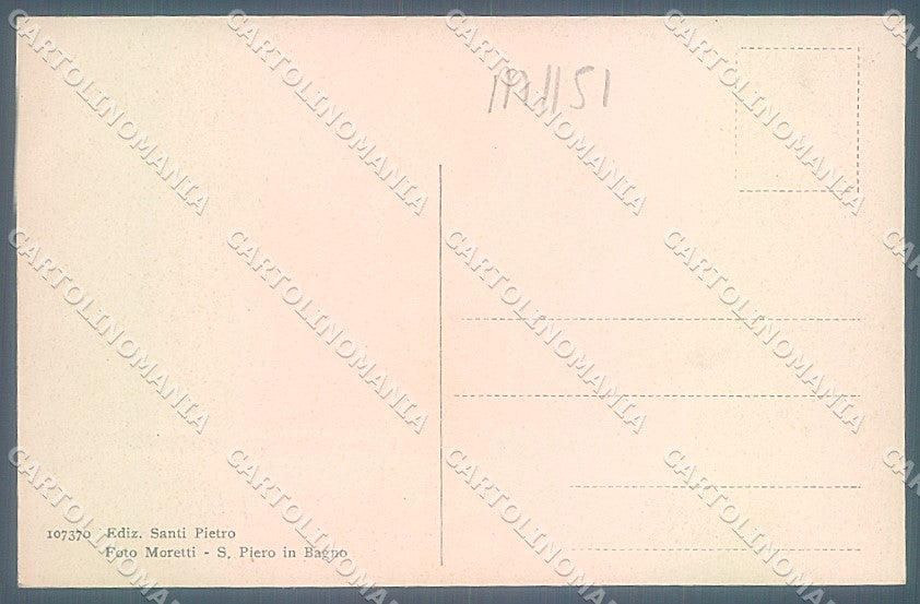 Pistoia Abetone Serrabassa Foresta cartolina JK5691 – retro