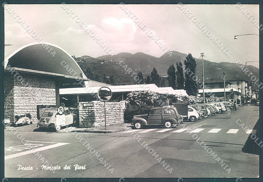 Pistoia Pescia Mercato dei Fiori Foto FG cartolina JK5746 – fronte