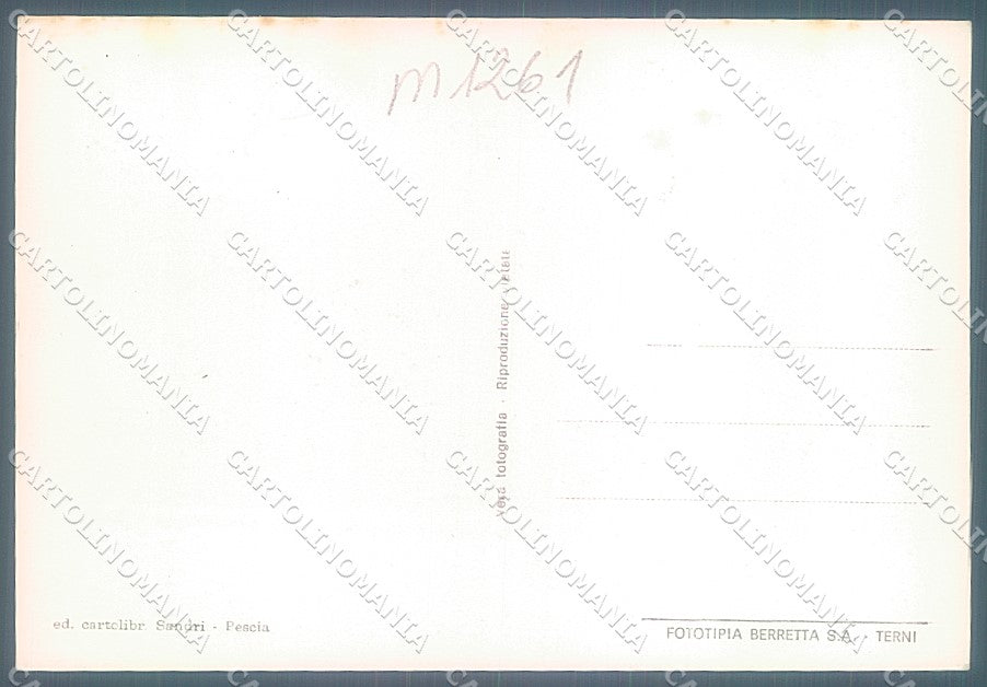 Pistoia Pescia Mercato dei Fiori Foto FG cartolina JK5746 – retro