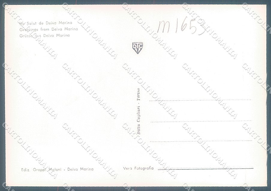 La Spezia Deiva Marina saluti da Foto FG cartolina JK5925 – retro