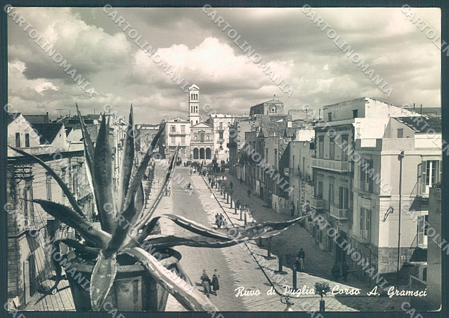 Bari Ruvo Chiesa Corso Gramsci PIEGA ANGOLO Foto FG cartolina JK5952 – fronte