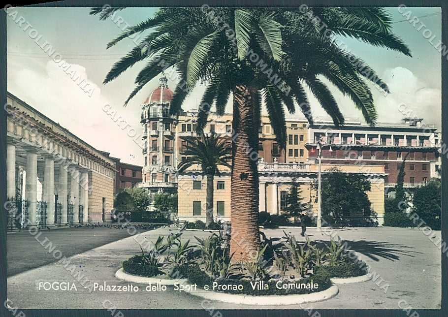 Foggia Città Palazzetto dello Sport Foto FG cartolina JK5962 – fronte