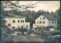 Foggia Monte S. Angelo Foresta Umbra Foto FG cartolina JK5971 – fronte