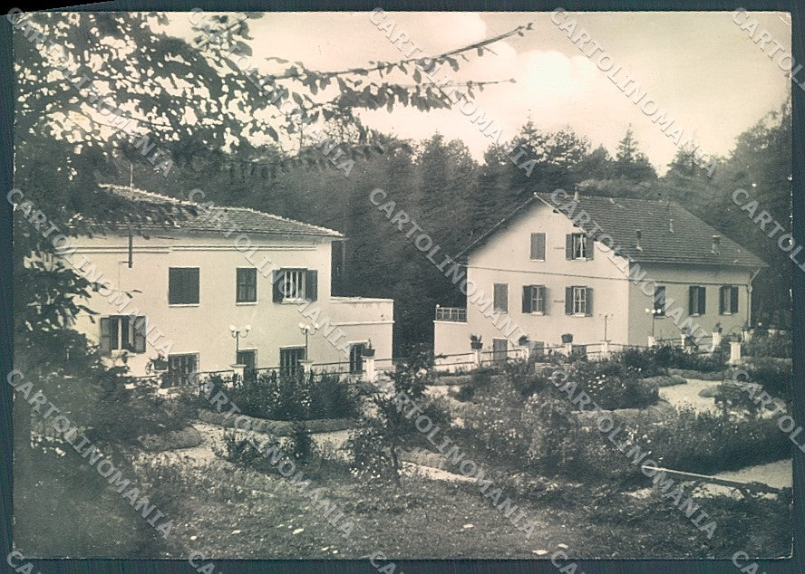 Foggia Monte S. Angelo Foresta Umbra Foto FG cartolina JK5971 – fronte