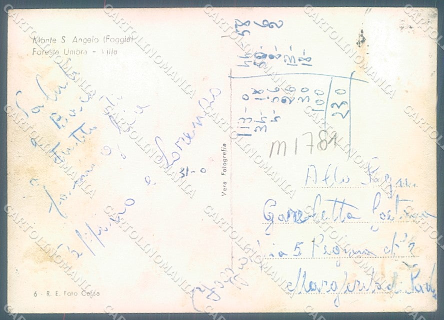 Foggia Monte S. Angelo Foresta Umbra Foto FG cartolina JK5971 – retro