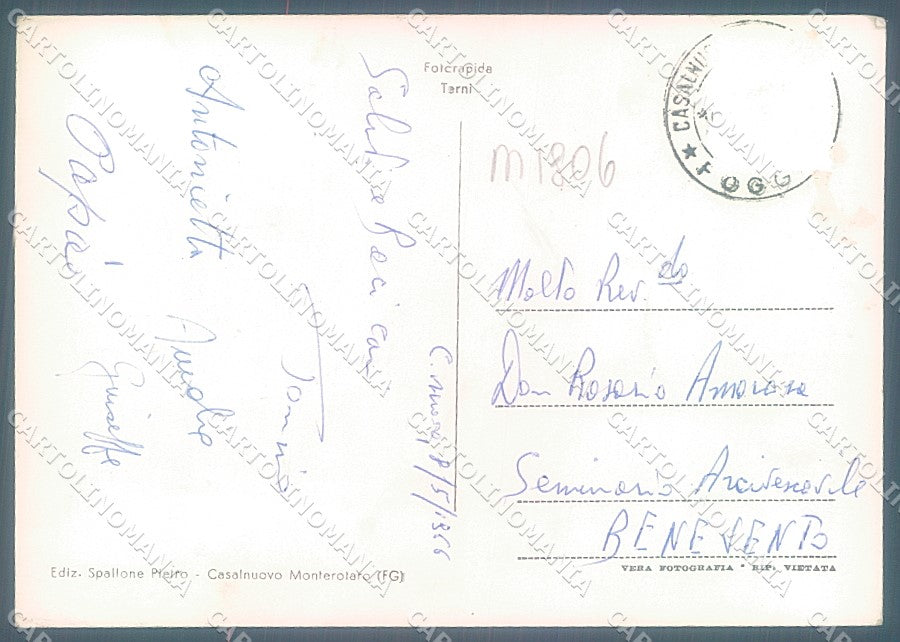 Foggia Casalnuovo Monterotaro Duomo saluti da Foto FG cartolina JK5980 – retro