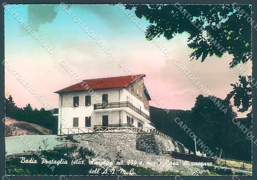 Arezzo Badia Prataglia Foto FG cartolina JK6012 – fronte
