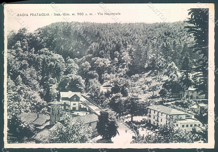 Arezzo Badia Prataglia Alterocca 27877 FG cartolina JK6014 – fronte