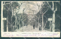 Lucca Viareggio Pineta Viale Gino Capponi cartolina JK6523 – fronte