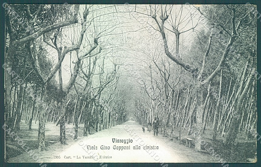 Lucca Viareggio Viale Capponi cartolina JK6529 – fronte