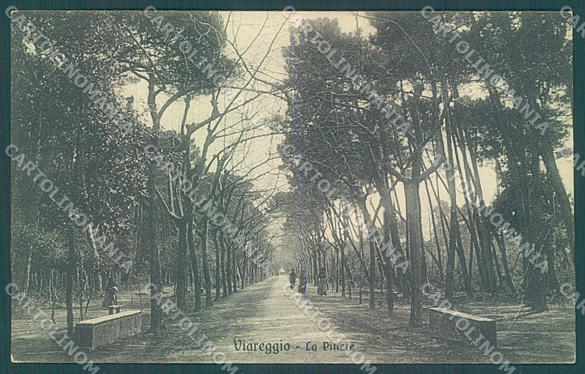 Lucca Viareggio Pineta cartolina JK6530 – fronte