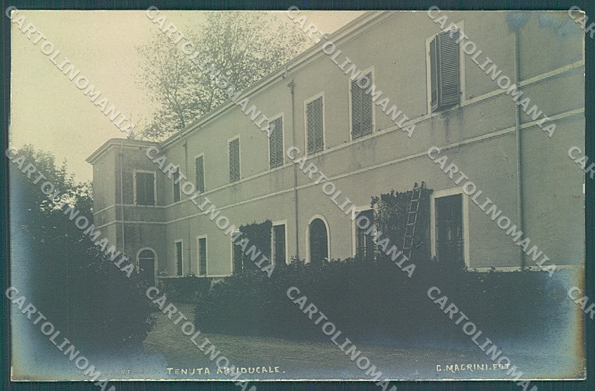 Lucca Viareggio Magrini Tenuta Arciducale Foto cartolina JK6546 – fronte