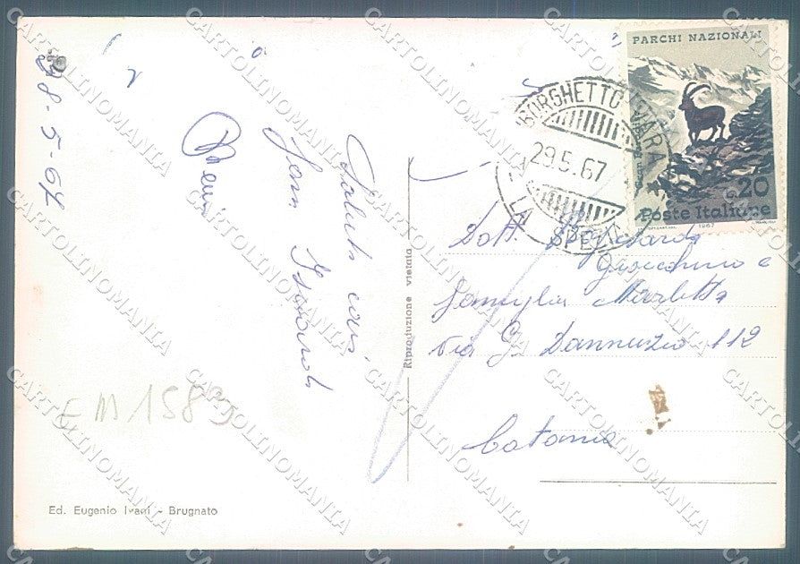 La Spezia Borghetto Vara Foto FG cartolina JK6956 – retro