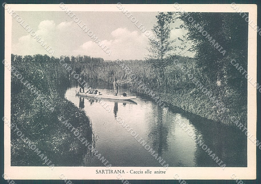 Pavia Sartirana Caccia alle Anitre FG cartolina JK6977 – fronte