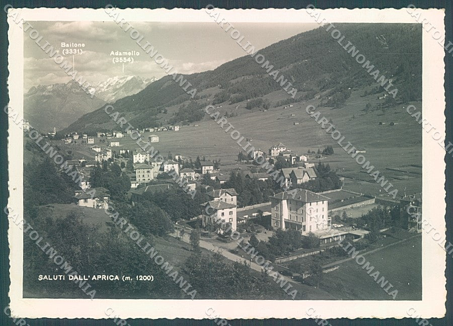 Sondrio Aprica Foto FG cartolina JK6979 – fronte