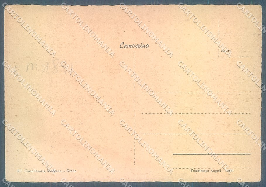 Gorizia Grado Spiaggia FG cartolina JK7036 – retro